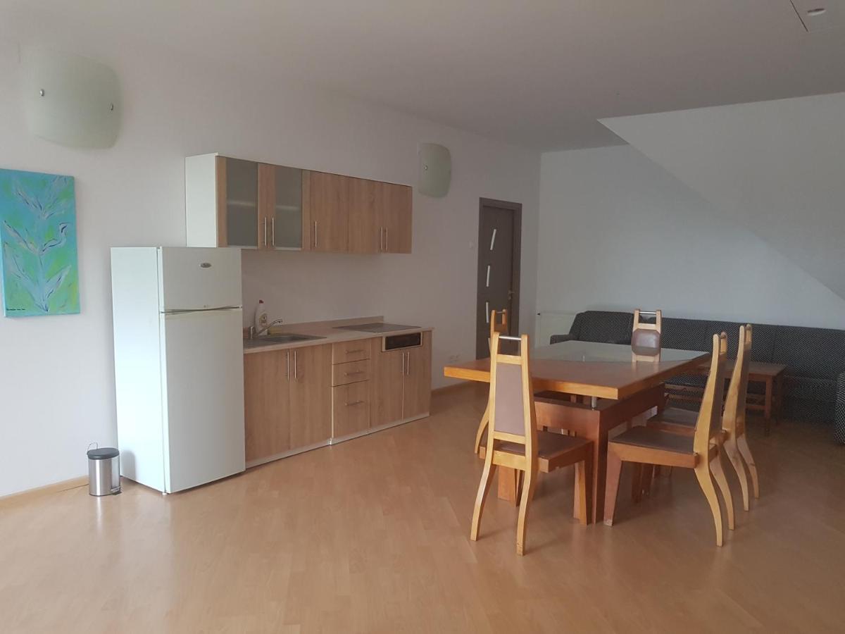 Lara Guest House Sfântu-Gheorghe Εξωτερικό φωτογραφία