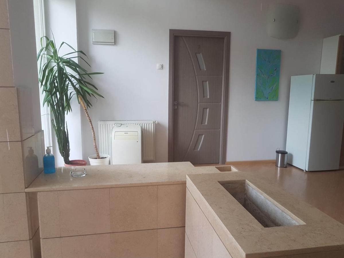 Lara Guest House Sfântu-Gheorghe Εξωτερικό φωτογραφία