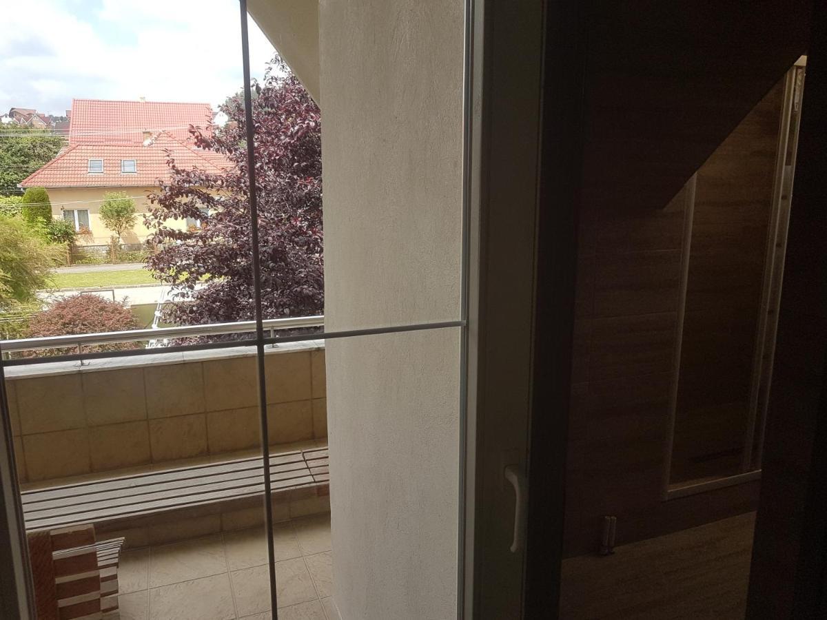 Lara Guest House Sfântu-Gheorghe Εξωτερικό φωτογραφία